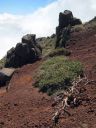 La_Palma_087.jpg