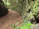 La_Palma_136.jpg