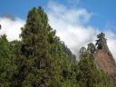 La_Palma_199.jpg