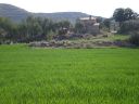Valldeperes_009.jpg