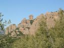 montserratines_28129.jpg