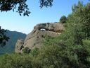 montserratines_28429.jpg